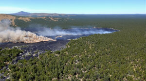 lutte_incendie_foret