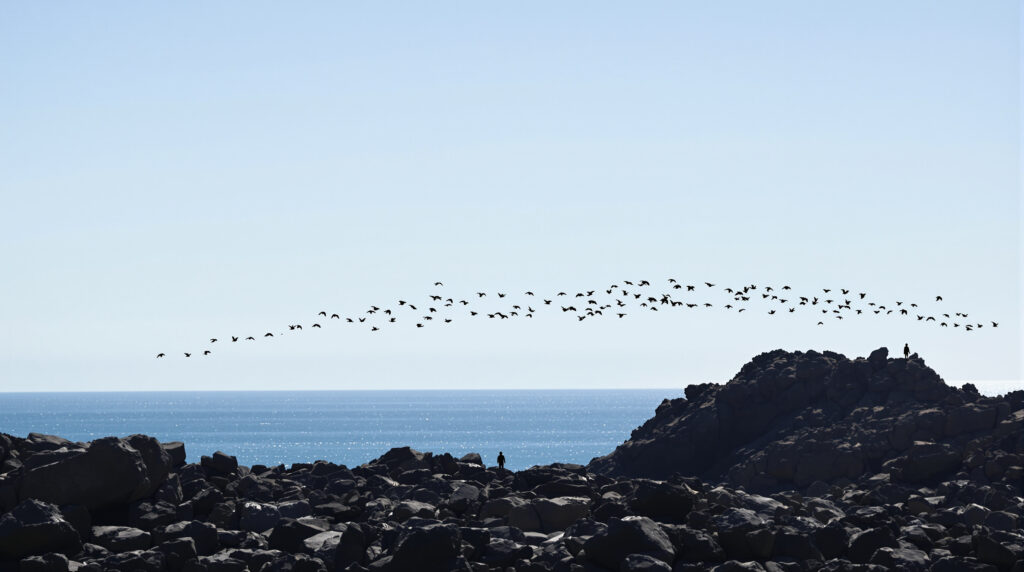 traversée_migrants_côte