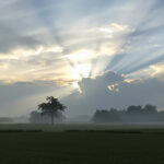 matin_campagne_clair