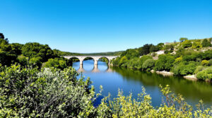 Pont_Ceret_Riviere