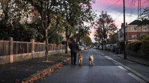 promenade_de_chien_loire_atlantique