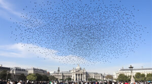 rassemblement_massif_paris