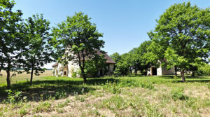 terrain_menuiserie_sans_vie