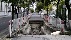 affaissement_chauss&eacute;e_ramonville2026