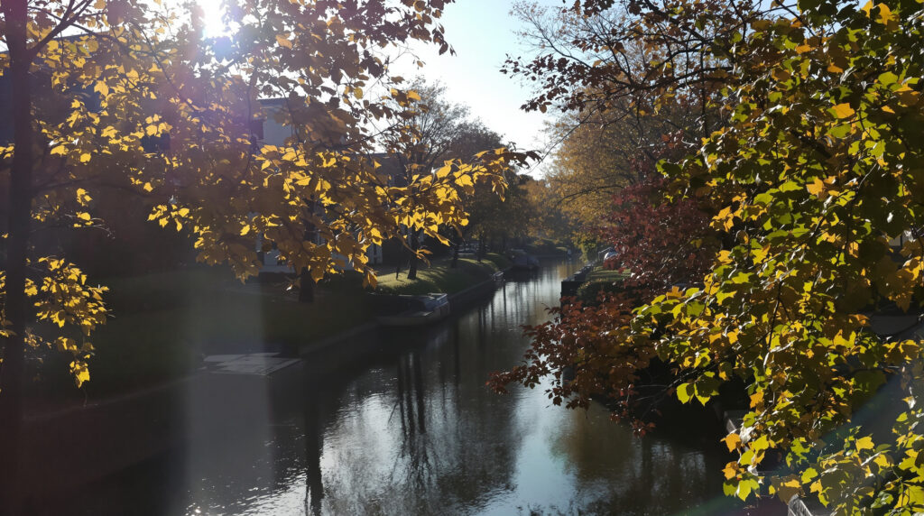 appartement_canal_automne