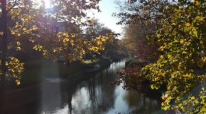 appartement_canal_automne