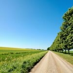 chemin_vers_oportunite_politique