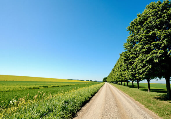 chemin_vers_oportunite_politique