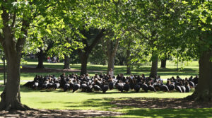 rassemblement_parc_ensoleille