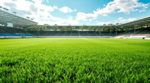 terrain_rugby_paix